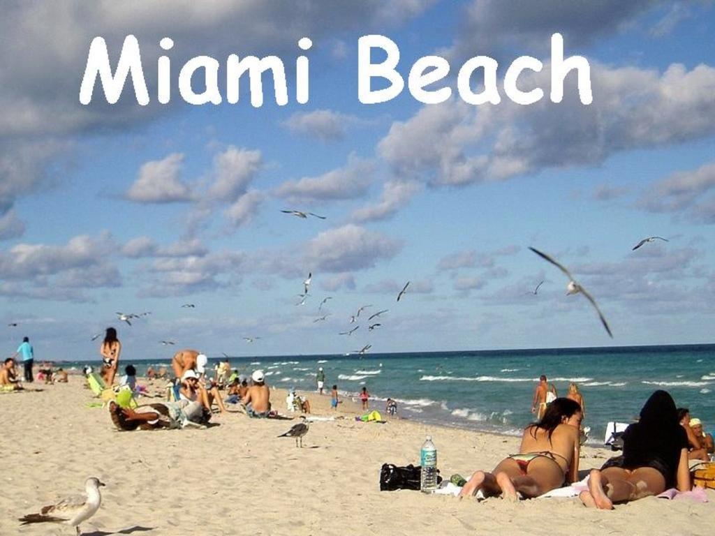 Bikini Lodge (Adults Only) Miami Beach Værelse billede